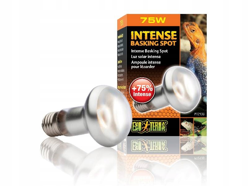 

Żarówka Intense Basking Spot 75W 63mm dla gadów