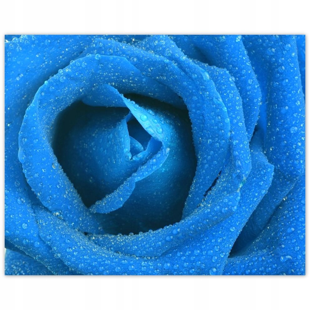 

Plakat 50x40 Dzień Kobiet Prezent Love