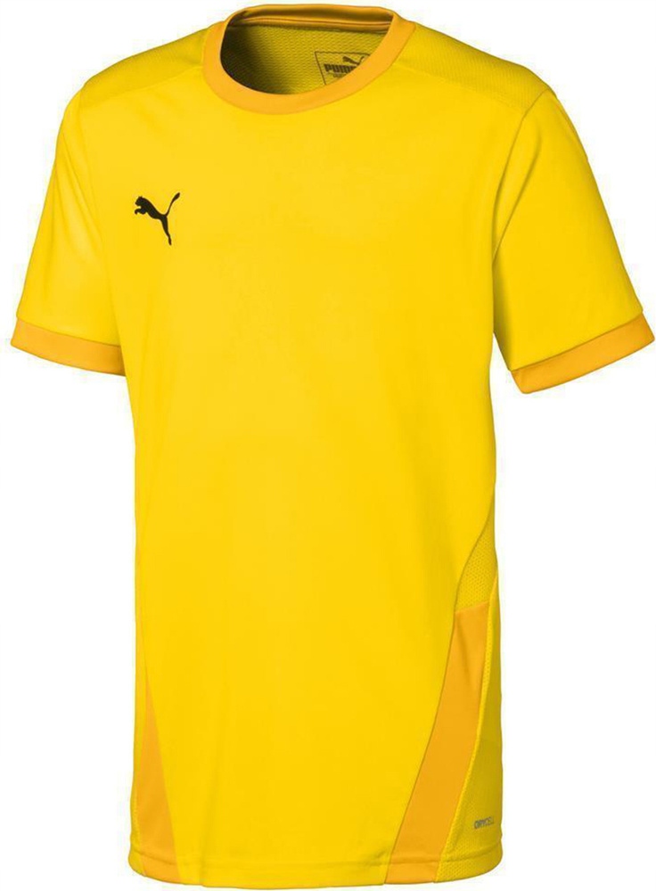 Koszulka Dziecięca Puma Teamgoal 23 Jersey r 116cm