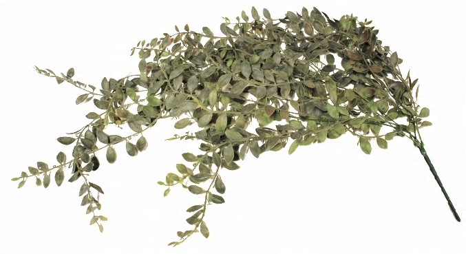

Eukaliptus Zwisające Gęste Pnącze Sztuczny 82CM