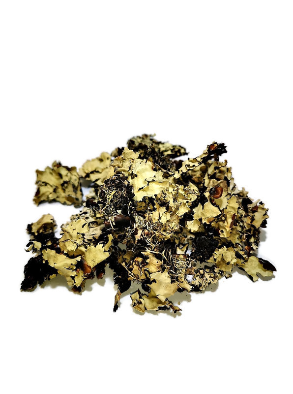 

Porost czarny 50 g #SpidersFactory