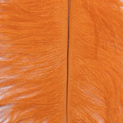 Pióro Strusia Naturalne Farbowane Fd Ostrich Herl Orange FD1905