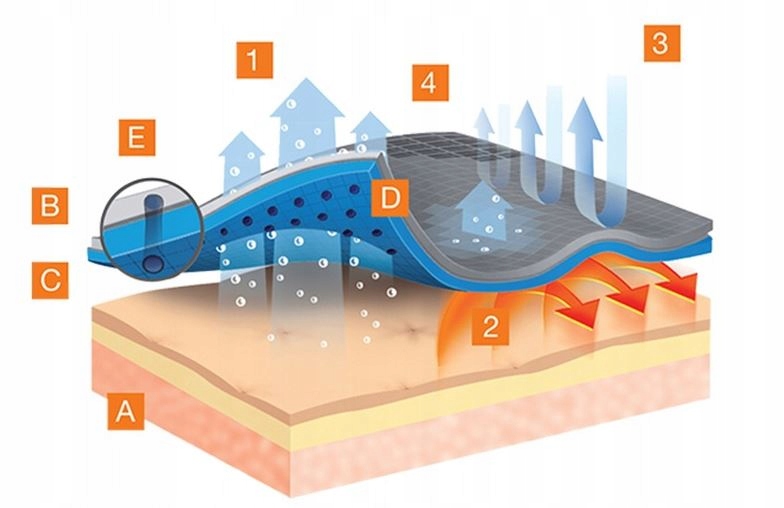BLUZA TERMOAKTYWNA BRUBECK KOSZULKA DAMSKA MERINO WOOL TERMICZNA ACTIVE L Rozmiar L