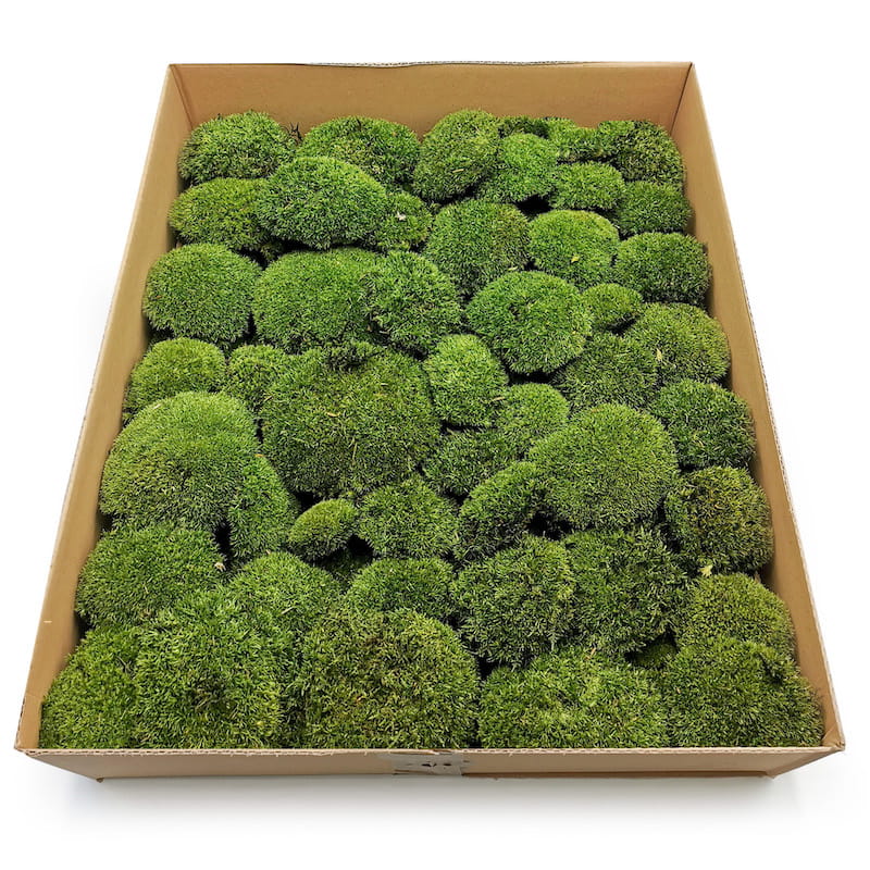 2 Kg Mech Poduszkowy ciemny zielony Premium