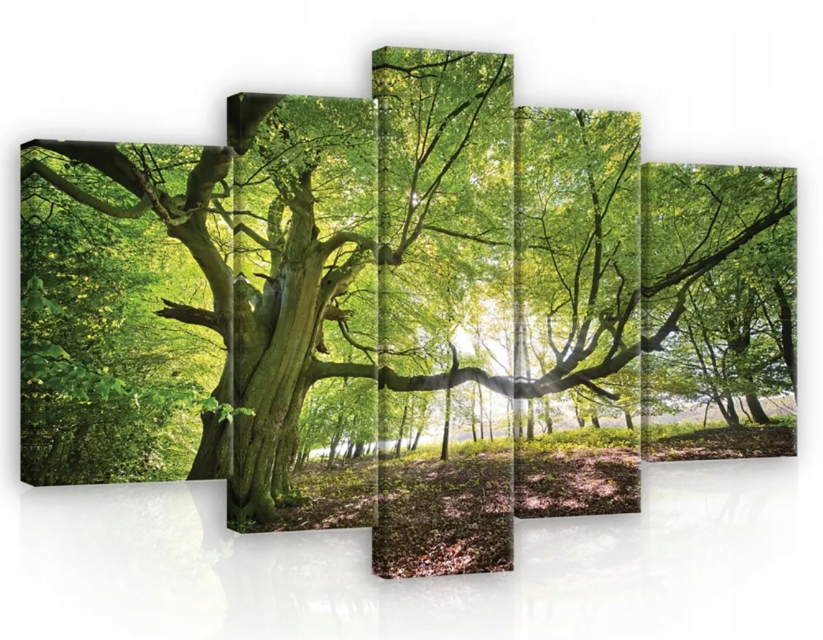 Obraz Na Plátne Canvas 170x100 Les Stromy Zelený