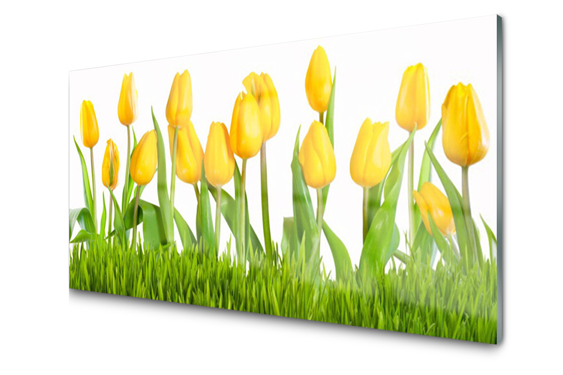 Dekoratívny sklenený panel Žlté Tulipány 100x50