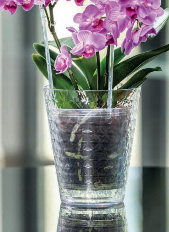 OSŁONKA DO STORCZYKA DIAMENT śr. 12,7CM PRZEZROCZYSTY Form-plastic Marka Form-Plastic