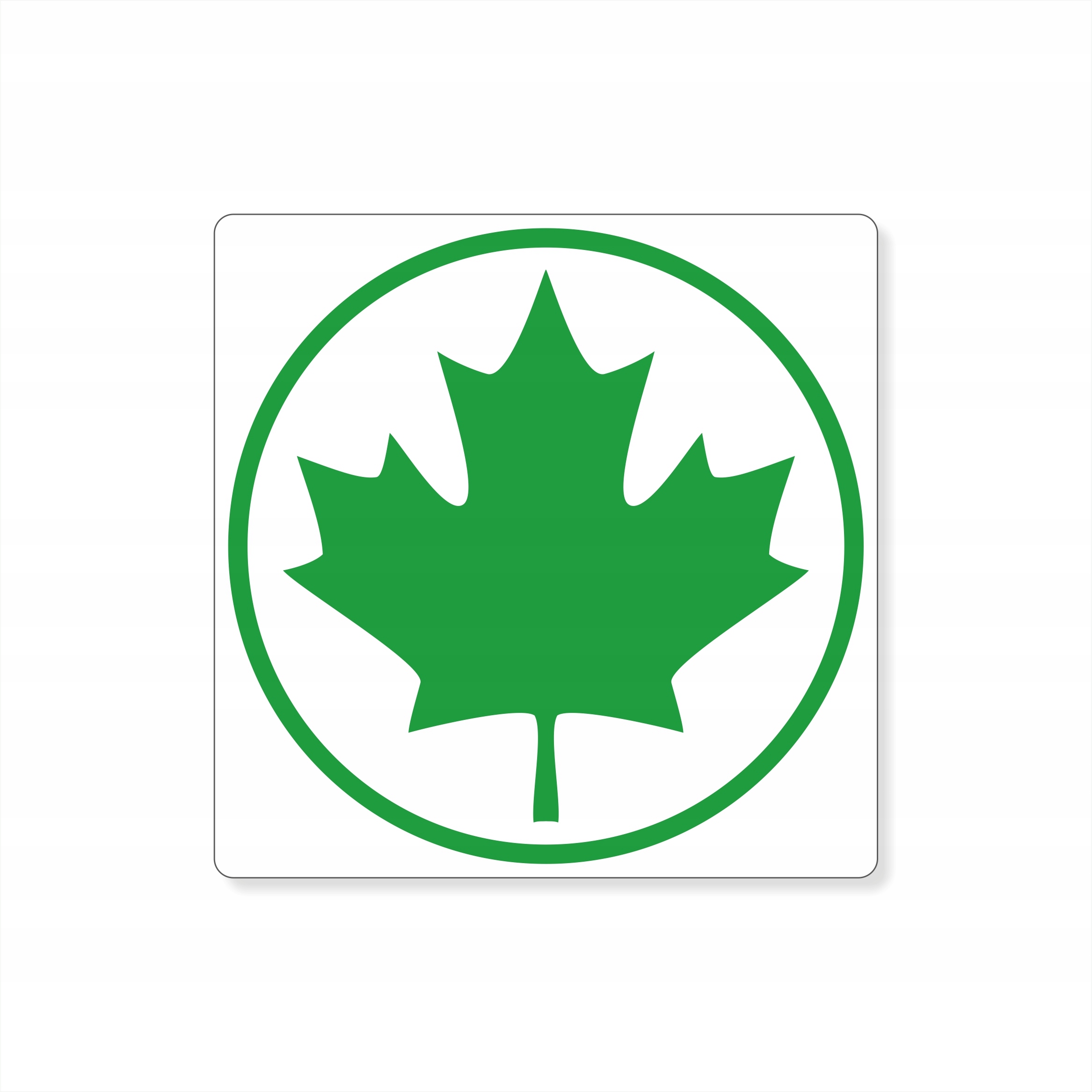 Naklejka magnetyczna Zielony Listek początkujący nowy kierowca magnes mata