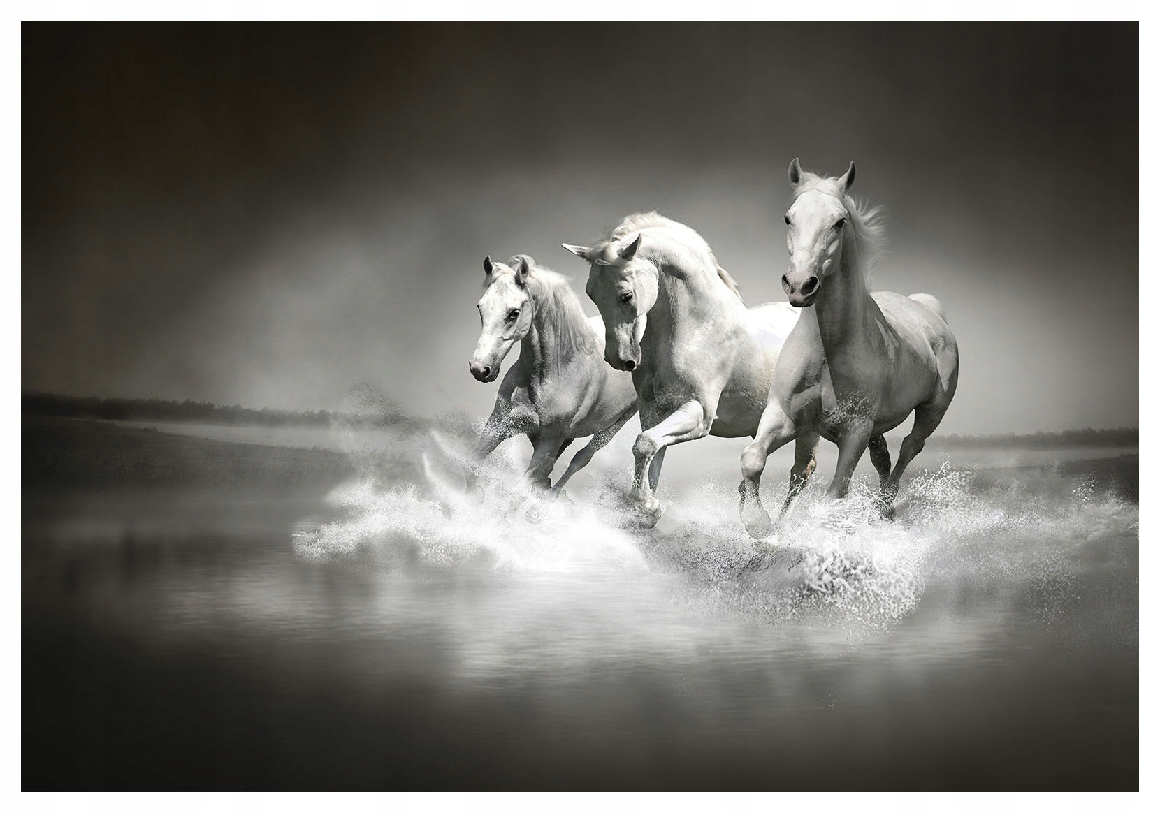 Vliesová fototapeta Bílí koně v mlze, grácie a pohyb 368x254 lepidlo