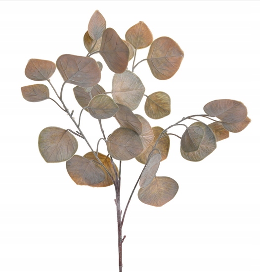 

Eukaliptus Populus Gałązka Autumn Gr 70cm