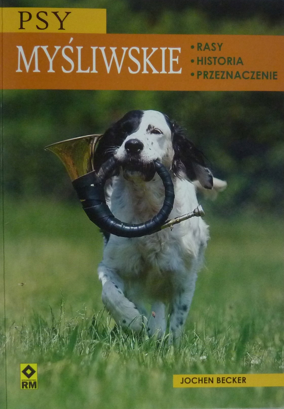 

Psy Myśliwskie Rasy Psów Myśliwskich