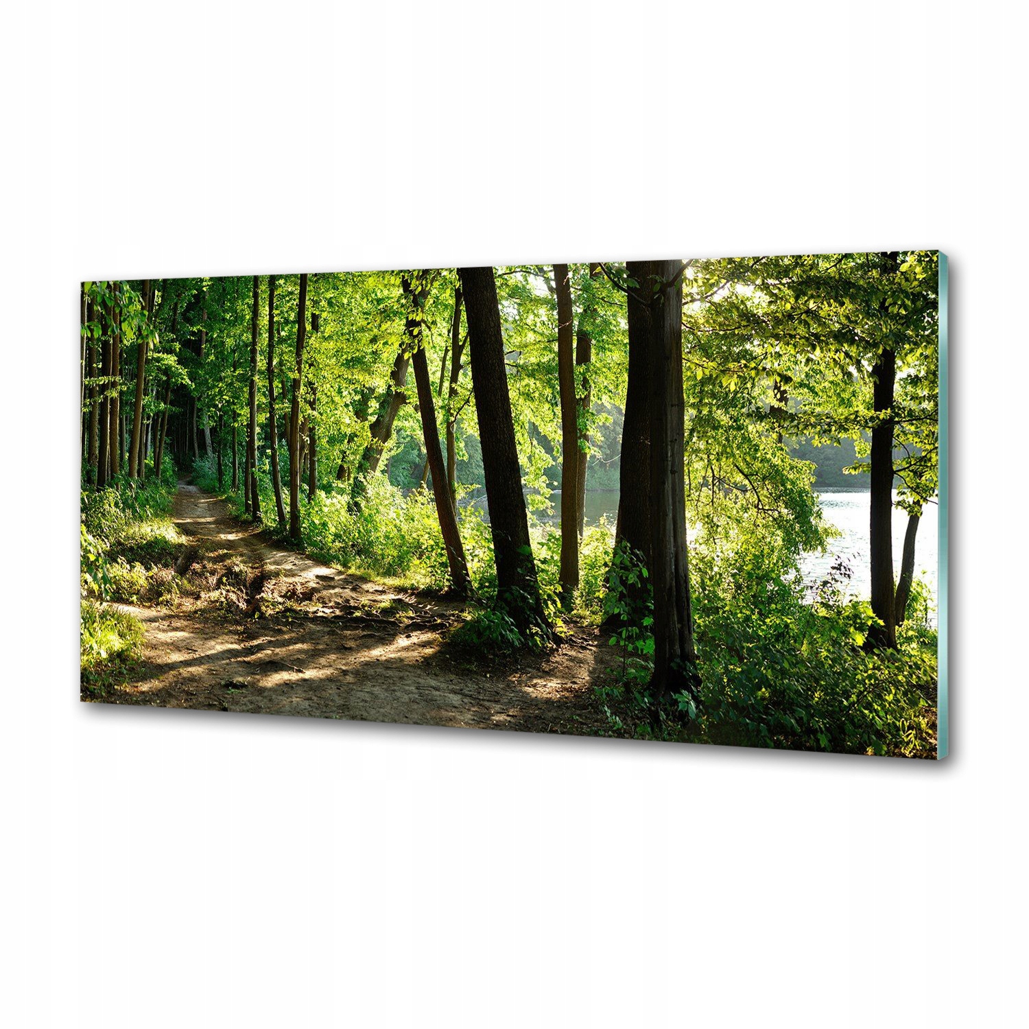 Panel do kuchyne Cesta na lúke 100x50 cm Lepidlo