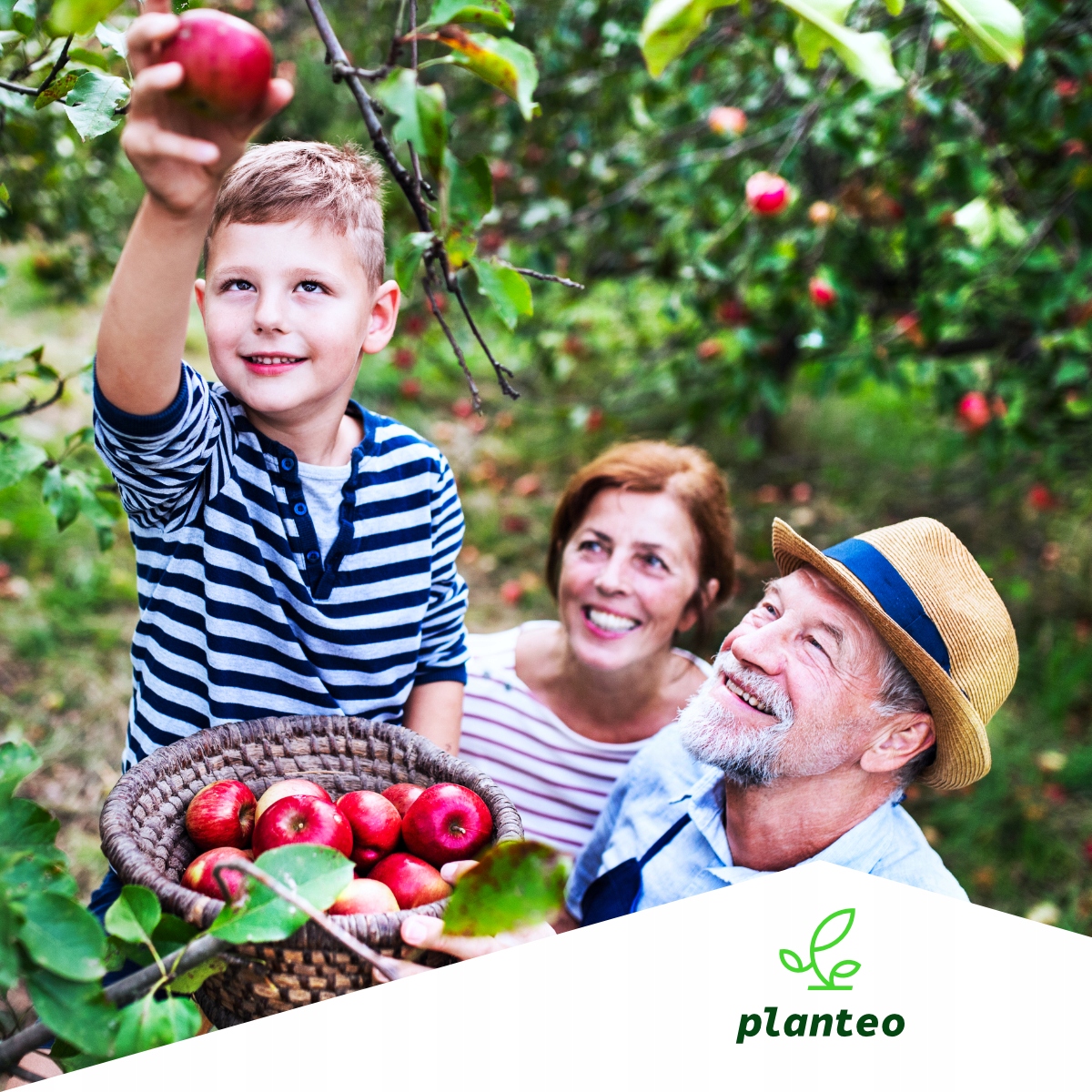 BIO NAWÓZ NATURALNY PŁYN SMACZNE OWOCE PLANTEO 1L Waga 1 kg