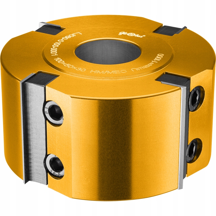 Globus Hoblovací hlava 100x30x4Z H50