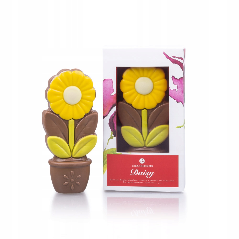 Daisy žlutá – čokoládová květina žlutá