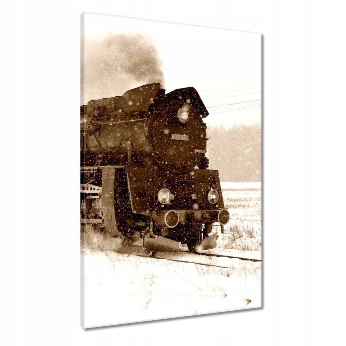 Obrazy 60x90 Parovoz Ol4959 ve sněhové bouři