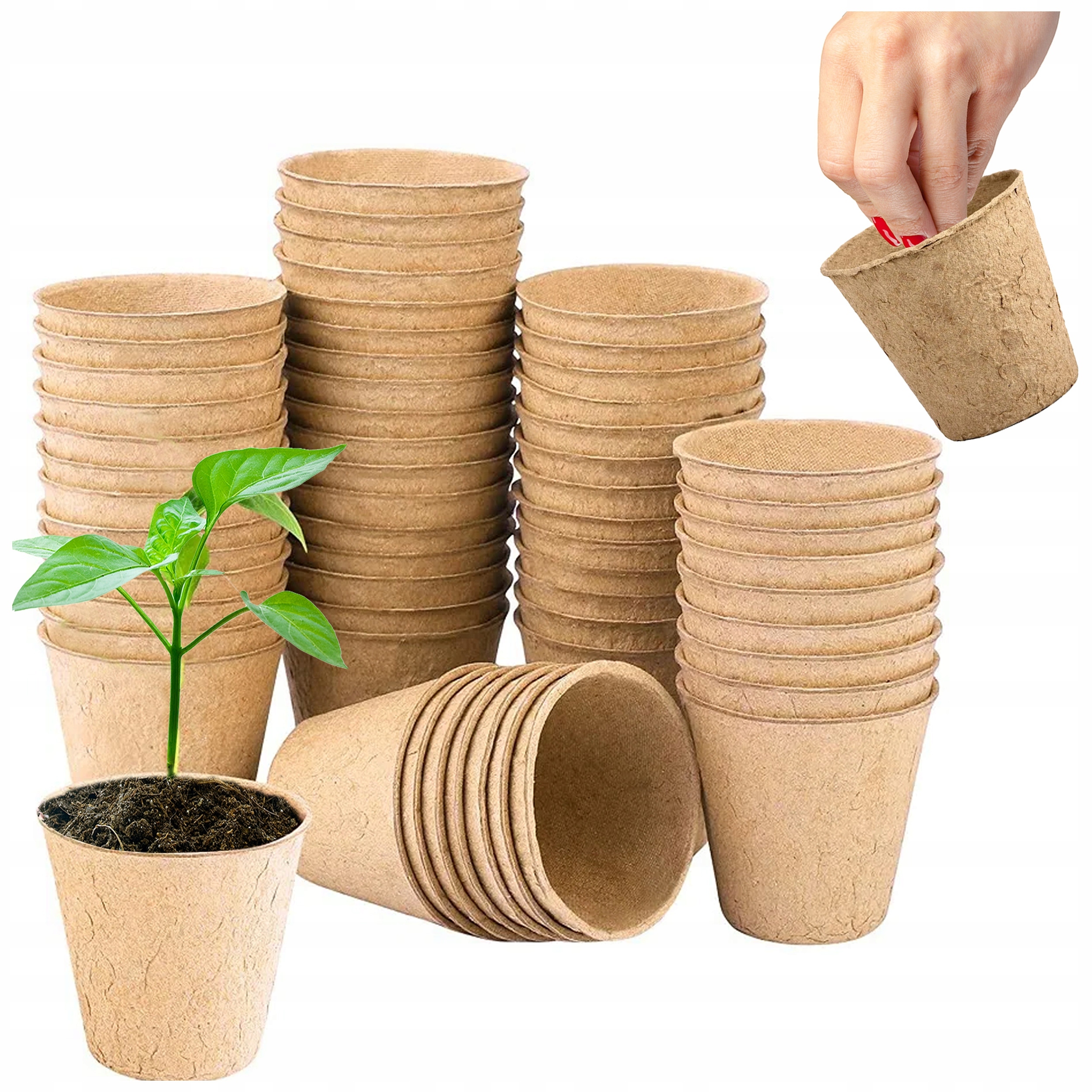 DONICZKI TORFOWE P6 BIODEGRADOWALNE ROZSADOWE SADZONKI ROZSADY 6 cm 60 szt.