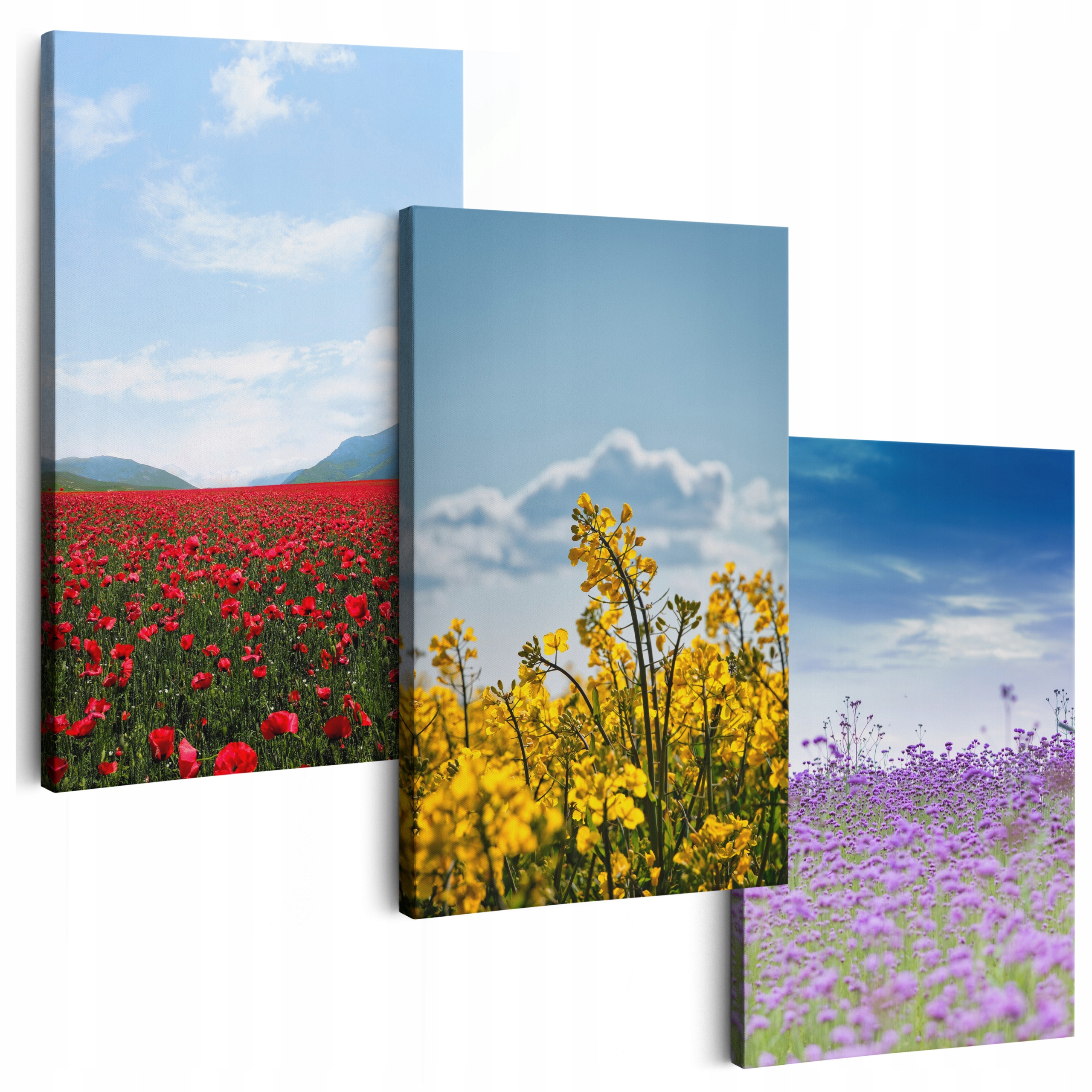 Obraz Na Plátne 180 cm **veľa vzorov** Obrazy Do Obývačky Triptyk Kvety