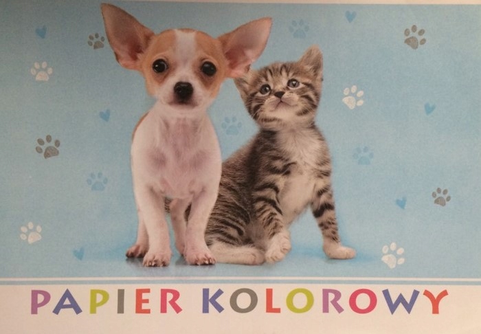 

Papier Kolorowy mix A5