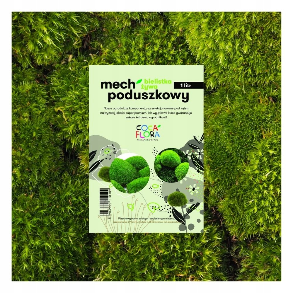 

Żywy Mech 1l ' bielistka siwa ' mech poduszkowy