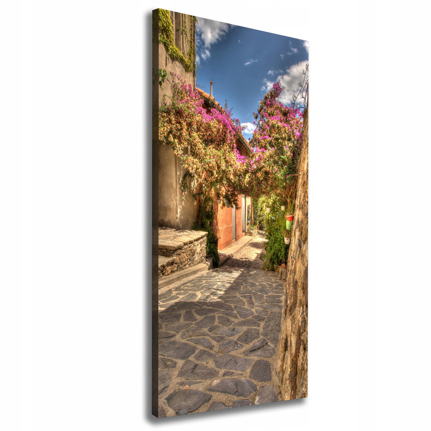 

Foto obraz na płótnie Francuskie uliczki 50x125 cm