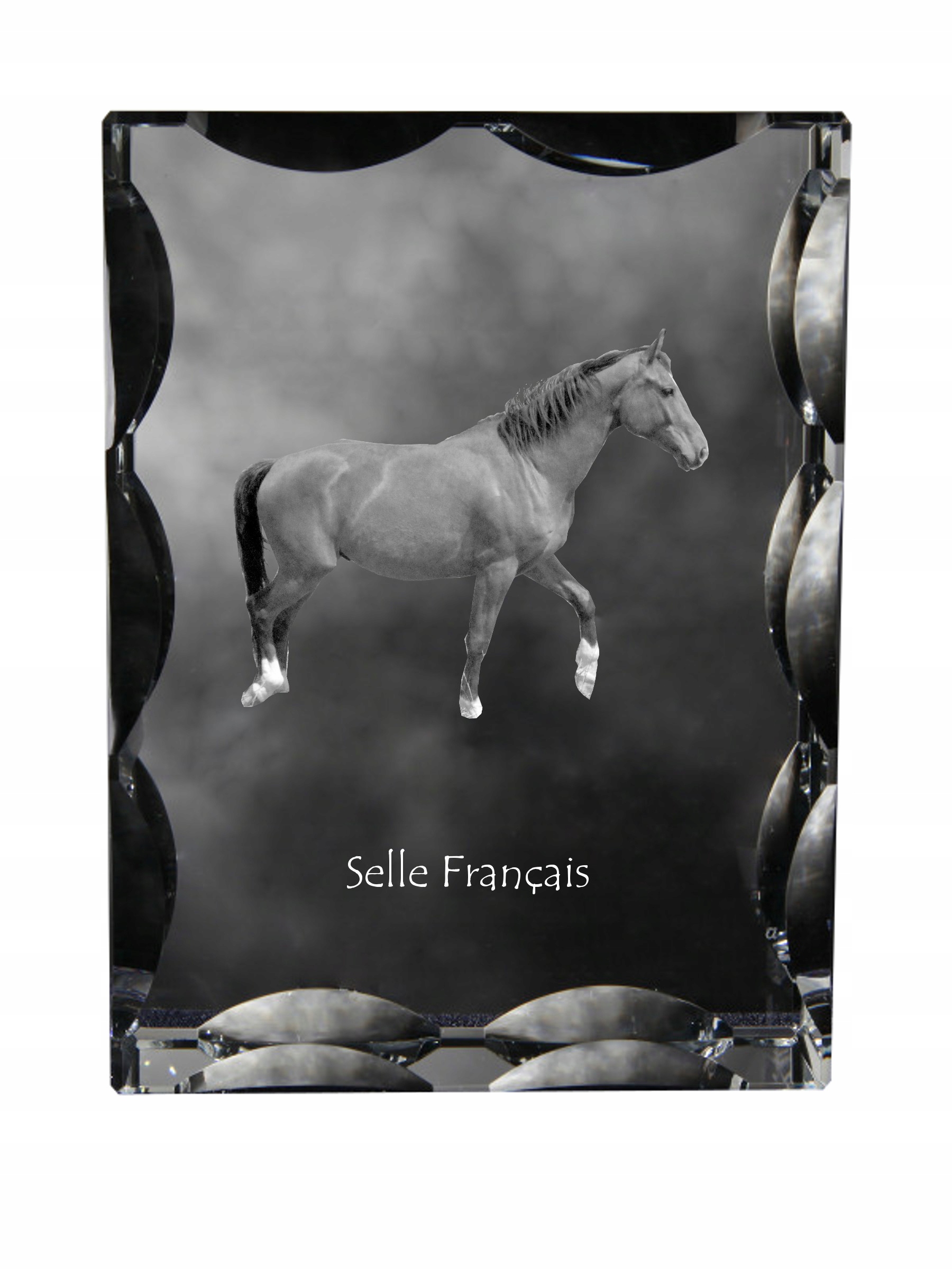 Kôň Selle Francais fotografia v ozdobnom kryštáli, suvenír, dekorácia domu