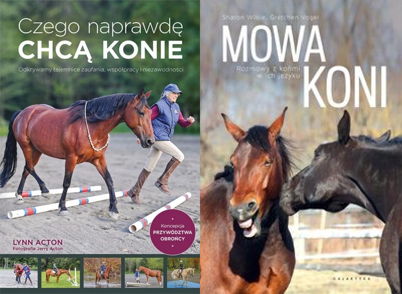 Co koně chtějí Řeč koní Rozhovory