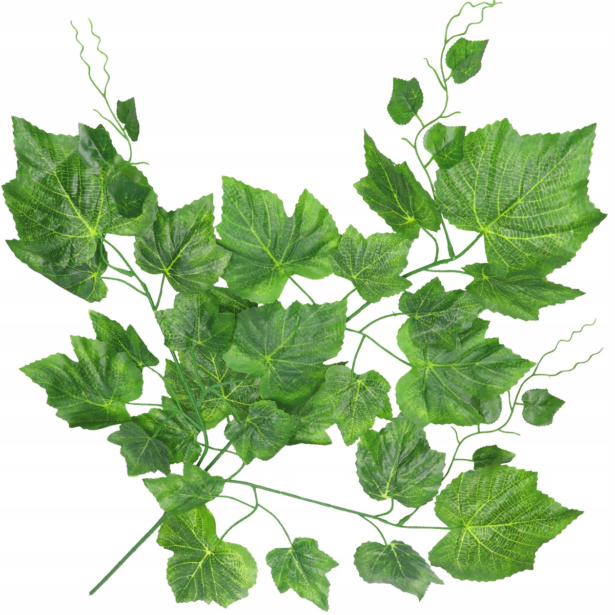 

Liść Liście Winogron Winorośli Gałązka 75cm