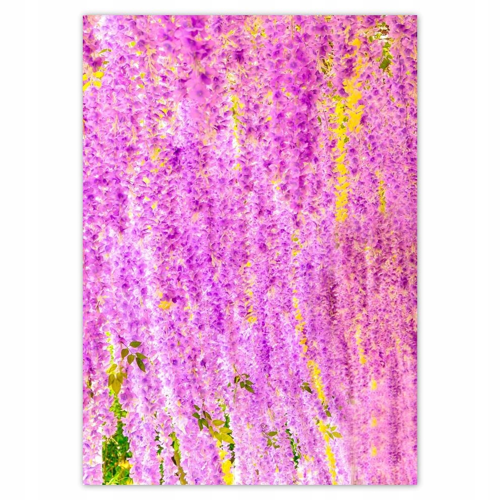 

Naklejki 50x70 Kwiatki Kwiaty Kwiatuszki