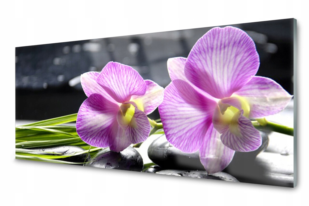 

Panel szklany do kuchni Kwiaty Roślina 125x50