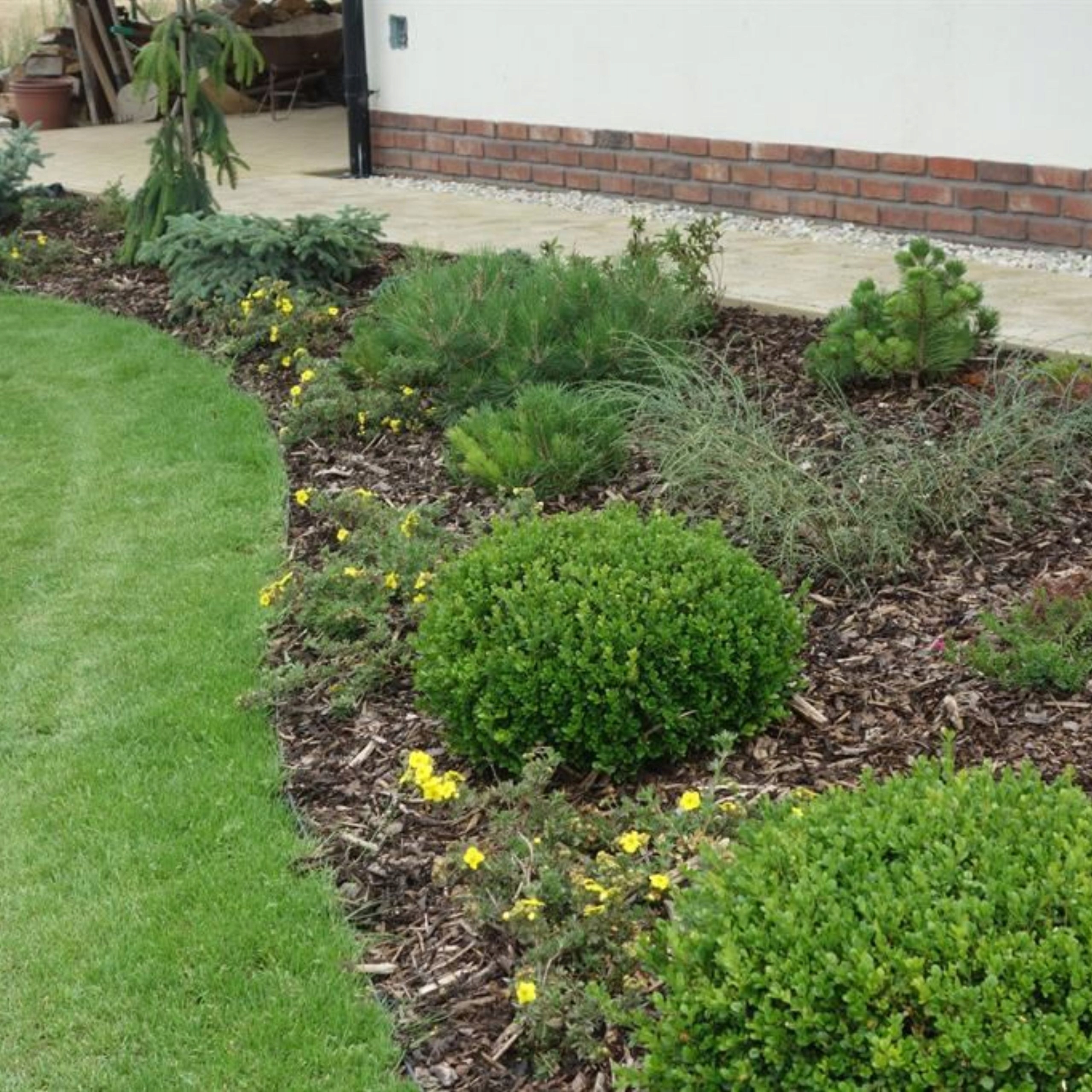 KORA SOSNOWA GRUBA XXL 50-150mm 60L DEKORACYJNA RĘCZNIE SORTOWANA Frakcja 50-150 mm