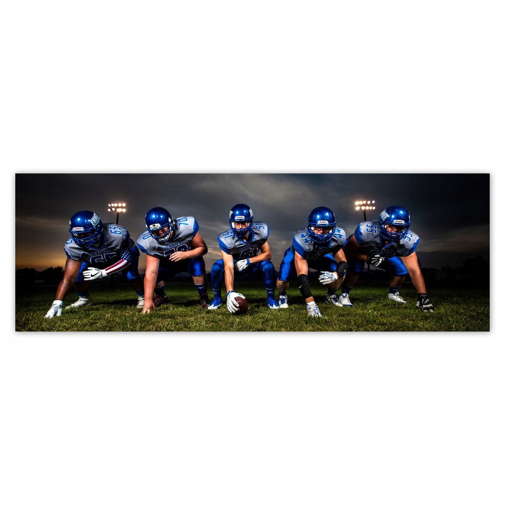 

Fototapety flizelina 312x104 Futbol amerykański