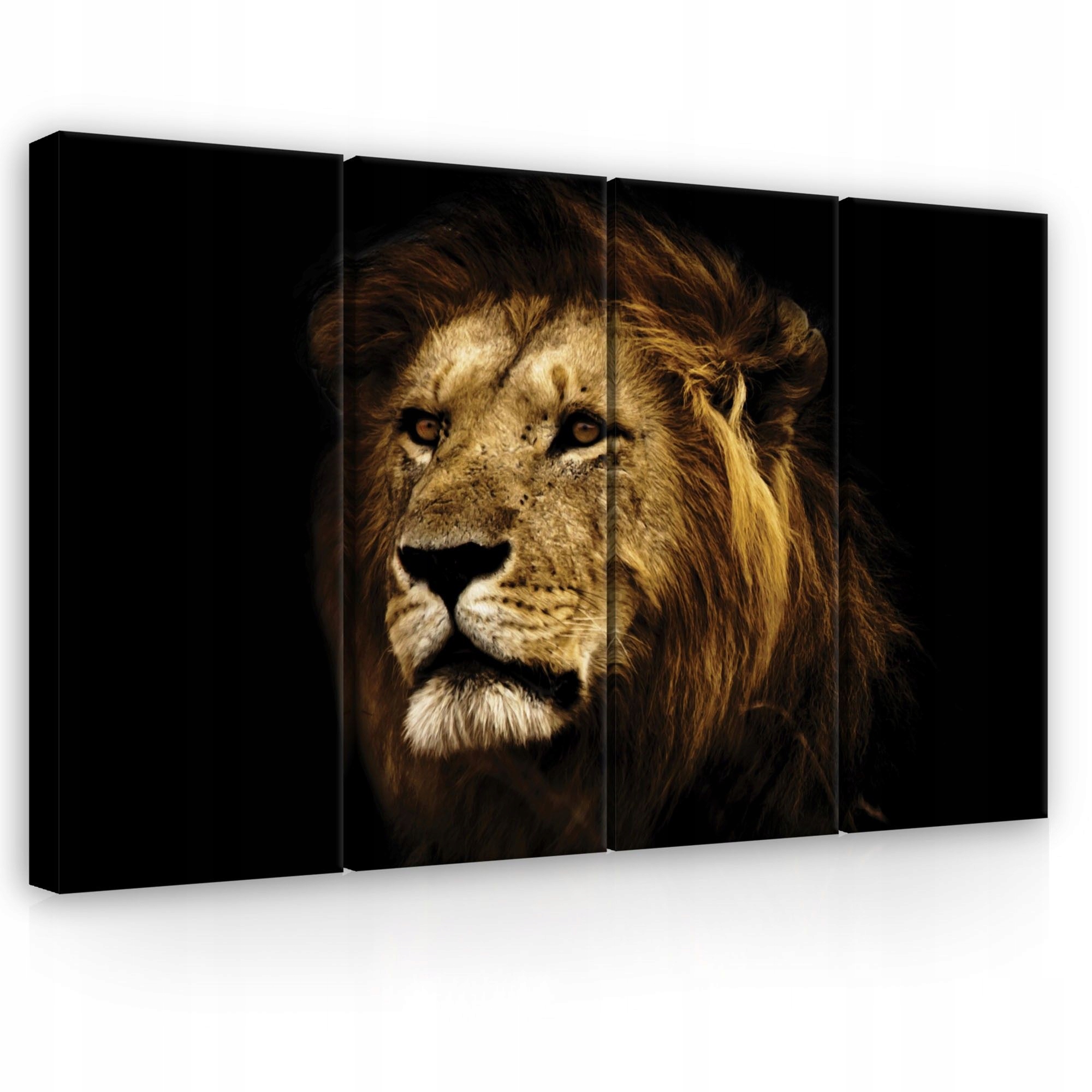 Obraz 120x80 Lev kráľ zvierat portrét sila príroda divoká príroda