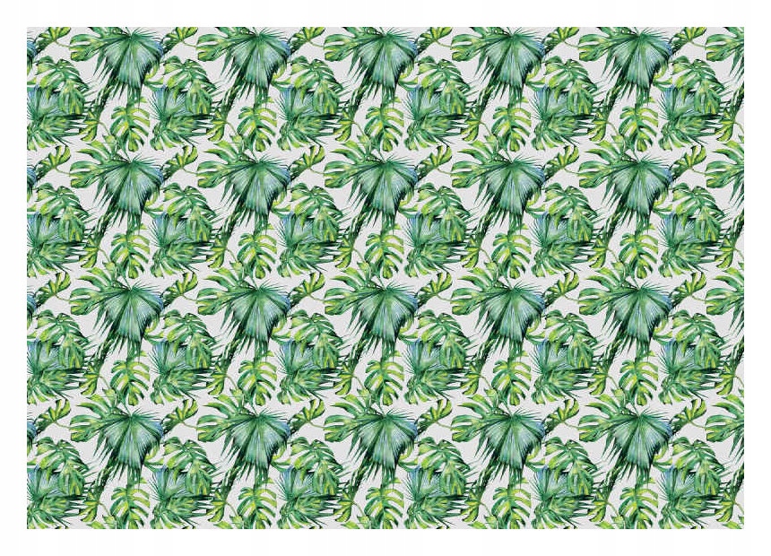 Fototapeta Listy monstery a palmy tropický vinyl svetlé pozadie 254x184 lepidlo