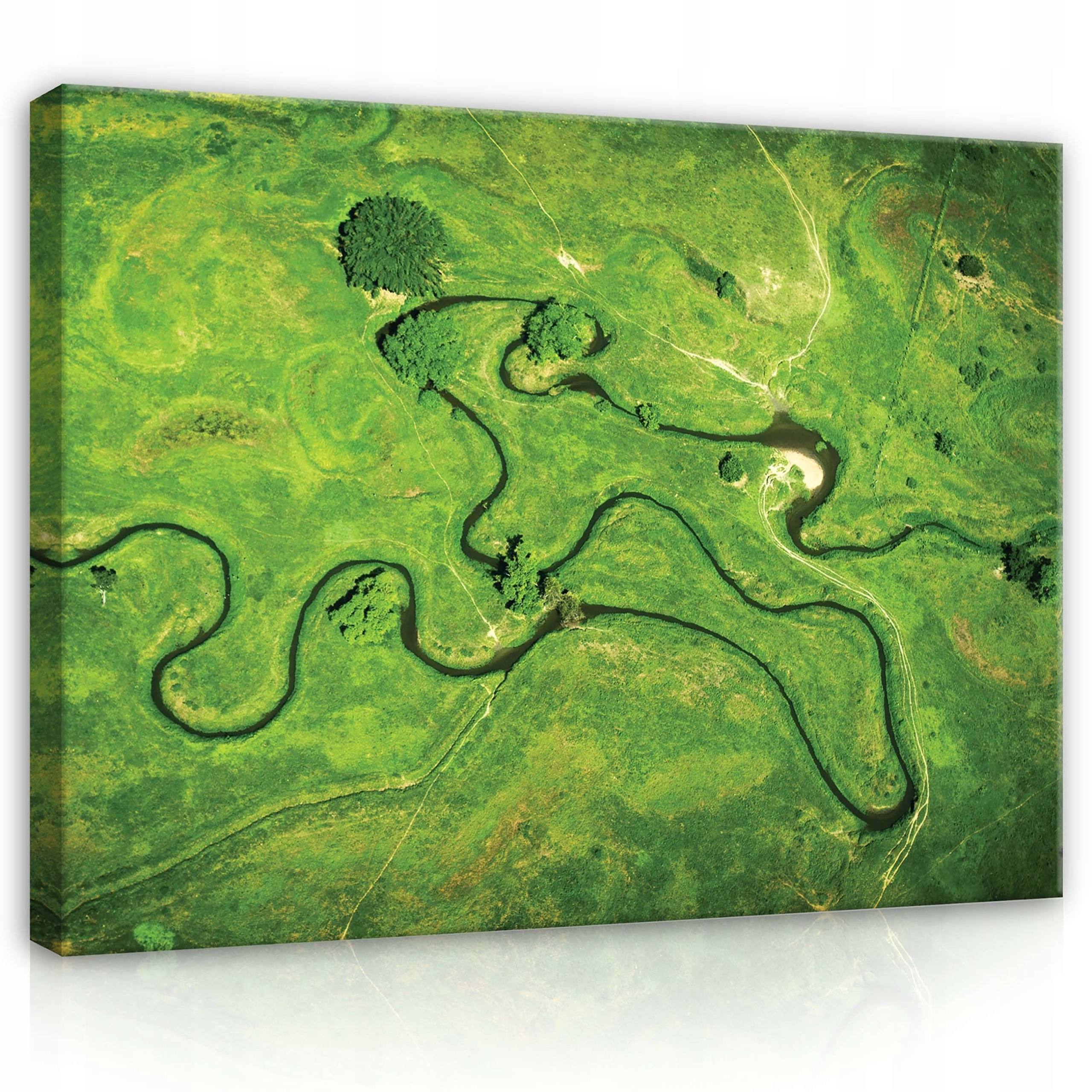 Obraz 100x75 Křivá řeka zelená krajina pohled shora příroda klid