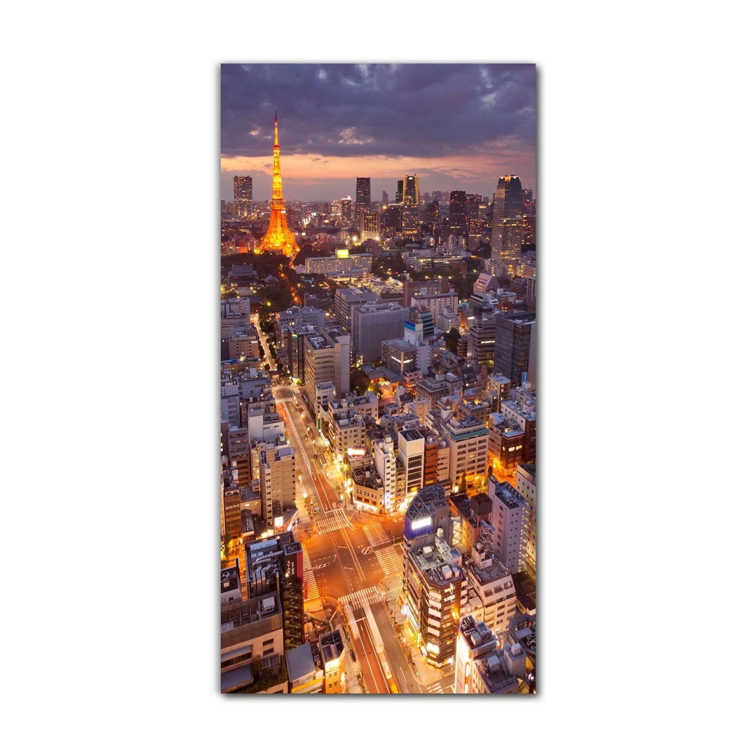 

Foto-obraz ścienny grafika 70x140 Japonia miasto