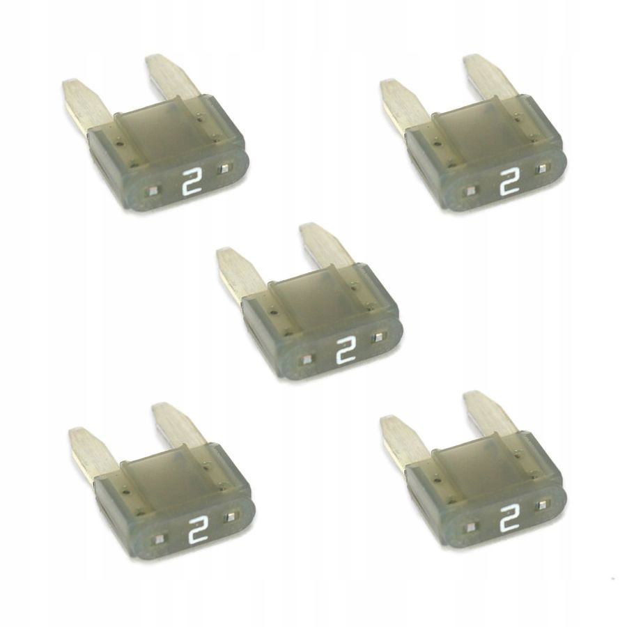 Bezpieczniki 5szt. mini 2A 5x191465