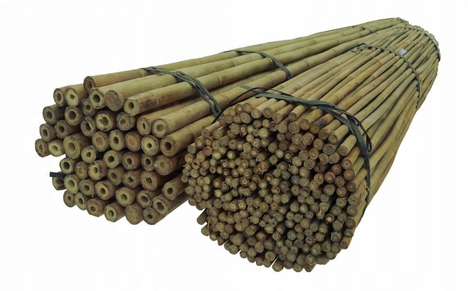 

Tyczki bambusowe 150 cm 24/26 mm /50 szt/, bambus