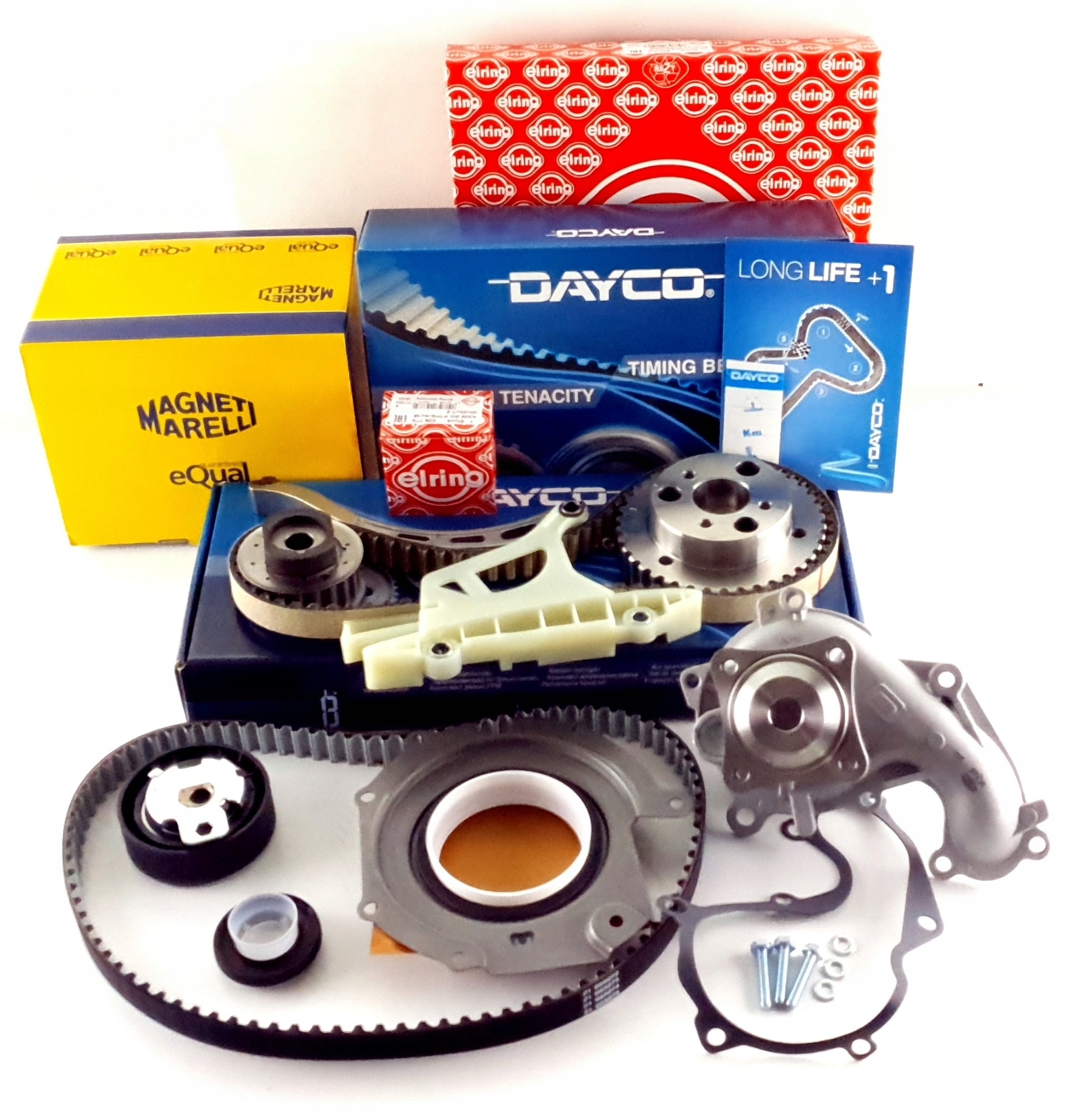 

Rozrząd Pasek W Oleju Kaseta Pompa Ford 1.8TDCI