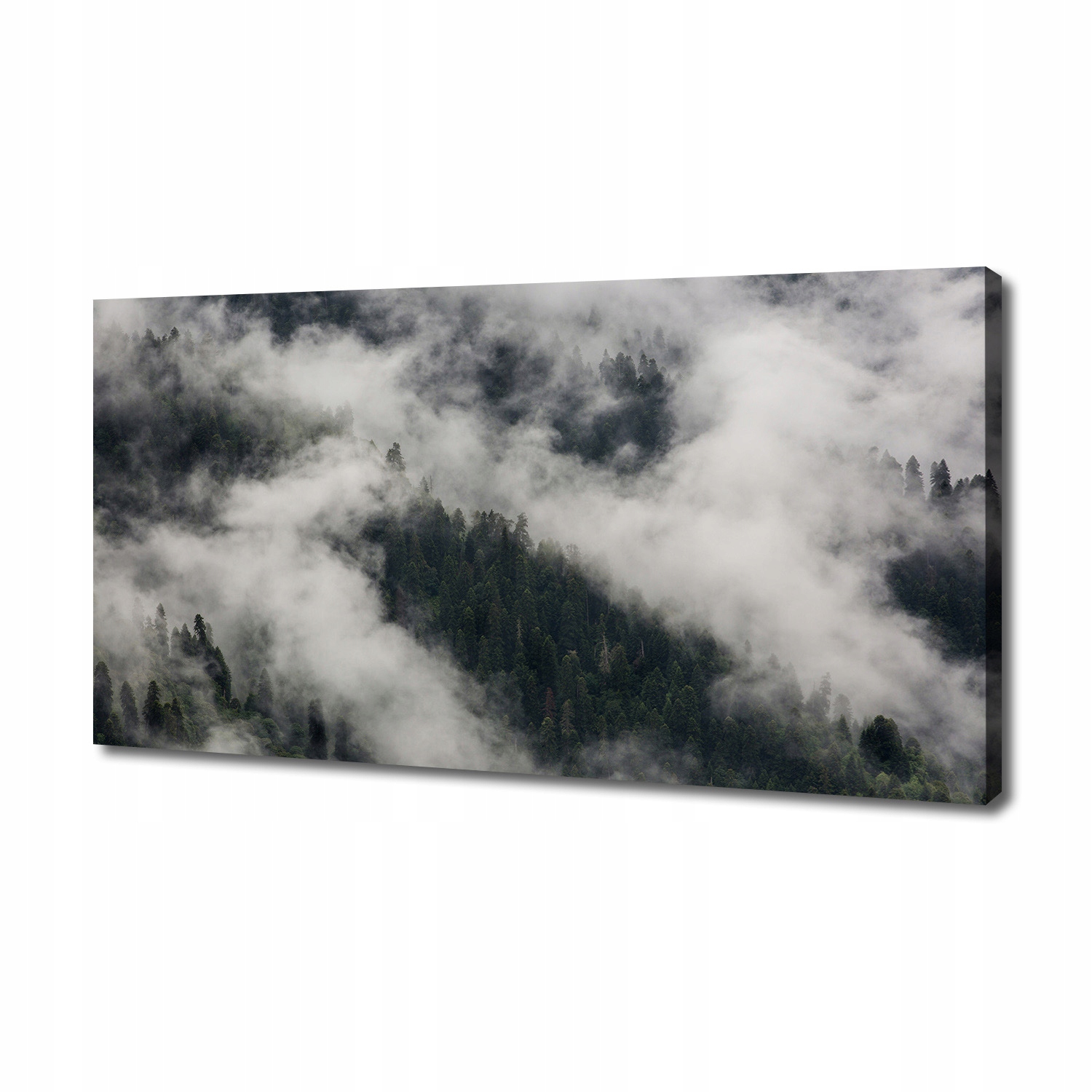 

Foto obraz na płótnie Mgła nad lasem 140x70 cm
