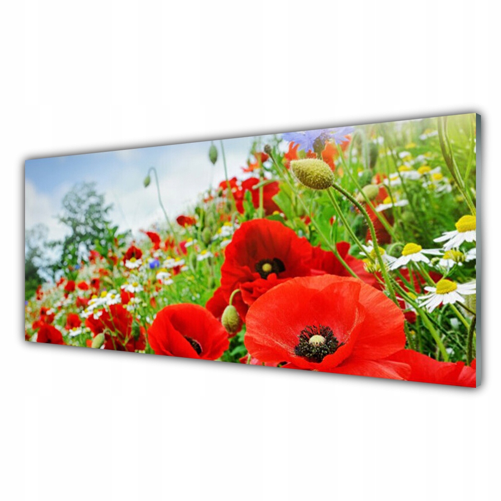

Obraz akryl na ścianę ścienny 125x50 Kwiaty Natura