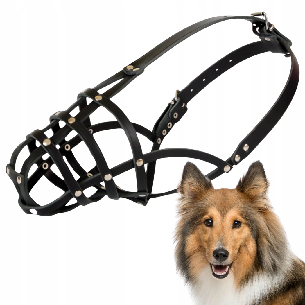Náhubek pro psa, Dingo Kožený Nýtovaný Č. 14 (obvod 31 cm) Kolie Velký