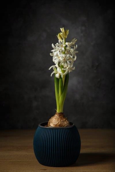 OSŁONKA DONICA DONICZKA NA KWIATY 11x11cm BRĄZ Wysokość produktu 9.5 cm