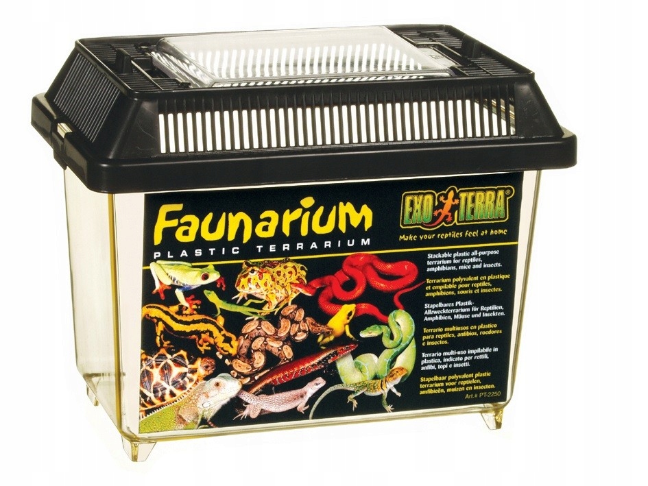 

Exo Terra Faunarium Faunabox 18 x 11 x 14,5 cm