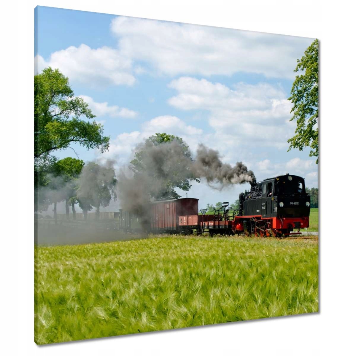 Obrazy 80x80 Vláček