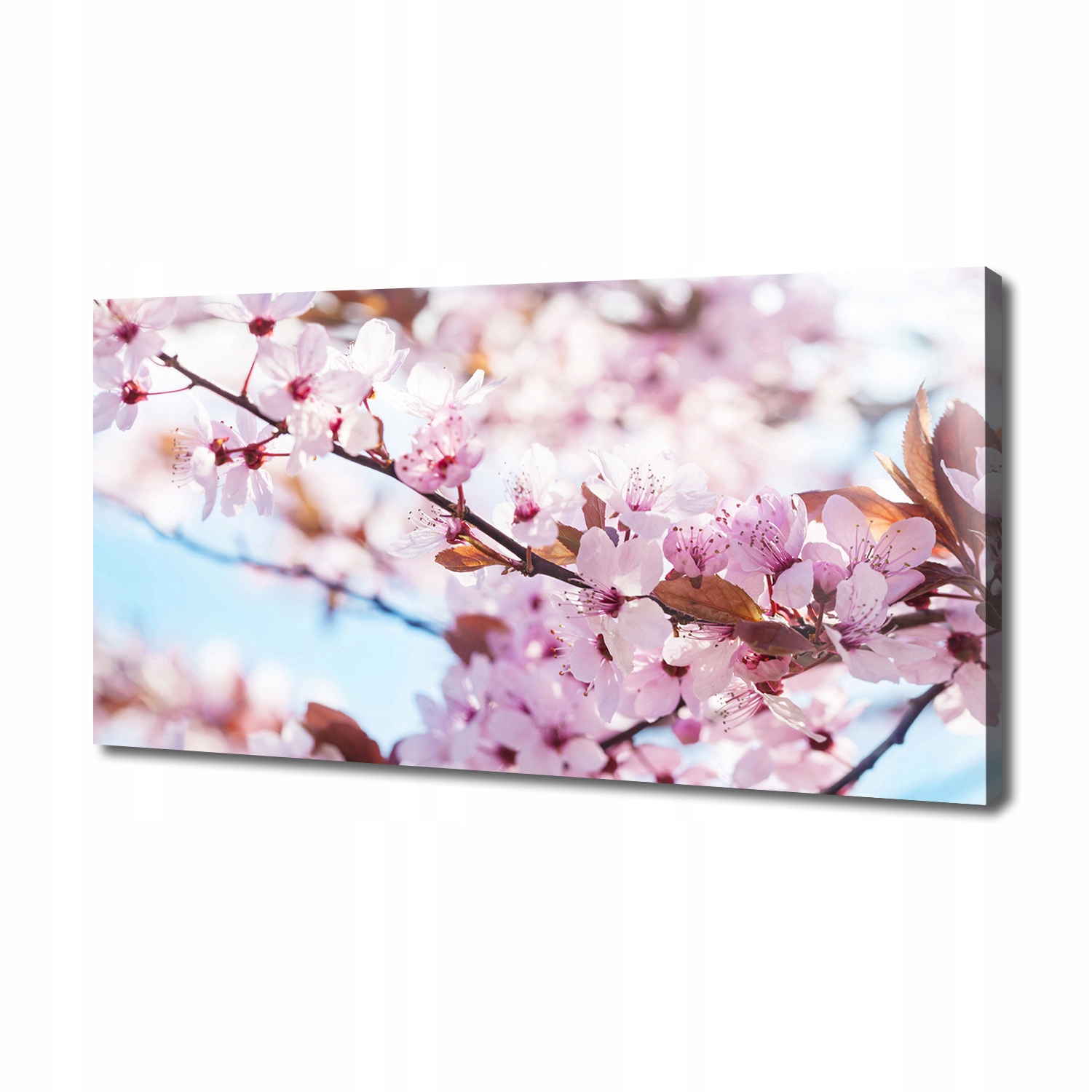 

Foto obraz duży na płótnie Kwiaty wiśni 140x70 cm