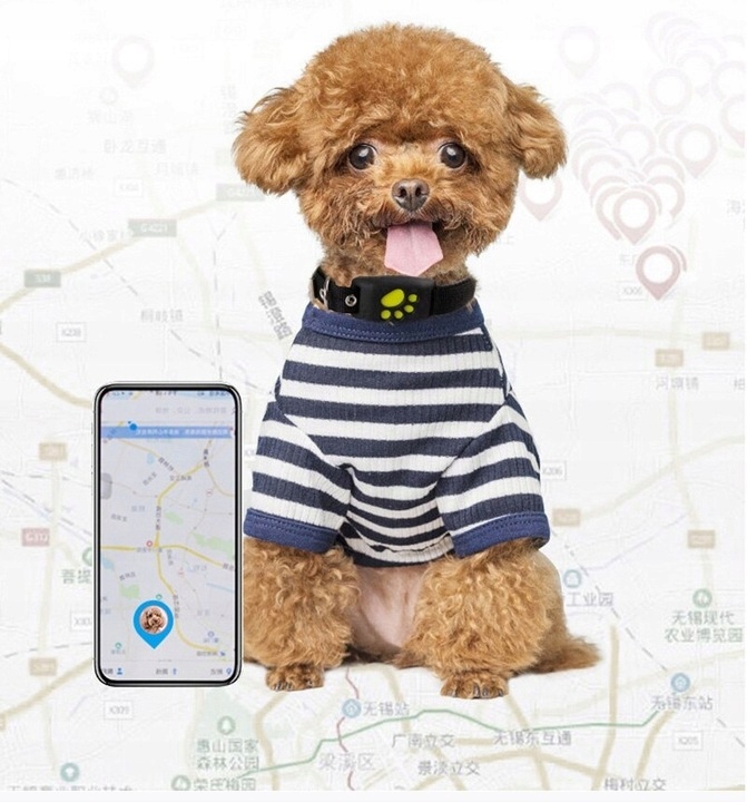 GPS ЛОКАТОР НАШИЙНИКА Z8 ДЛЯ ДОМАШНІХ ТВАРИН ДОДАТОК ДЛЯ СОБАК ТА КОТІВ