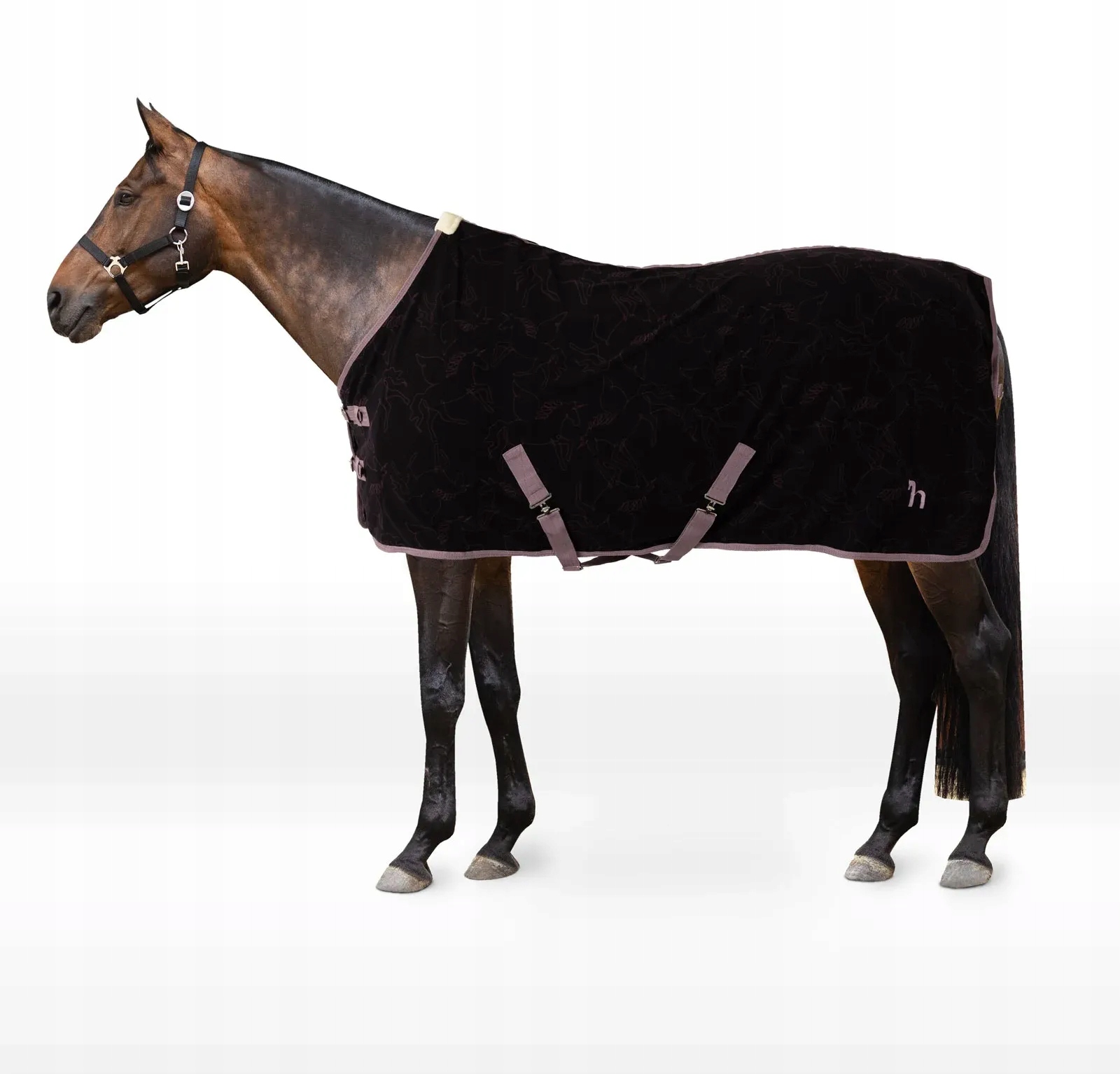 Derka polarowa dla konia Horze PegasusPony 25AW osuszająca flint purple 135