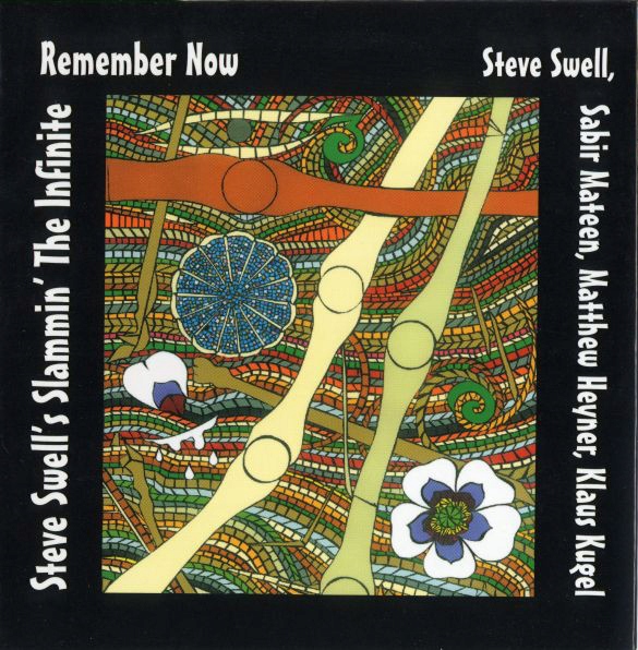 STEVE SWELL REMEMBER NOW