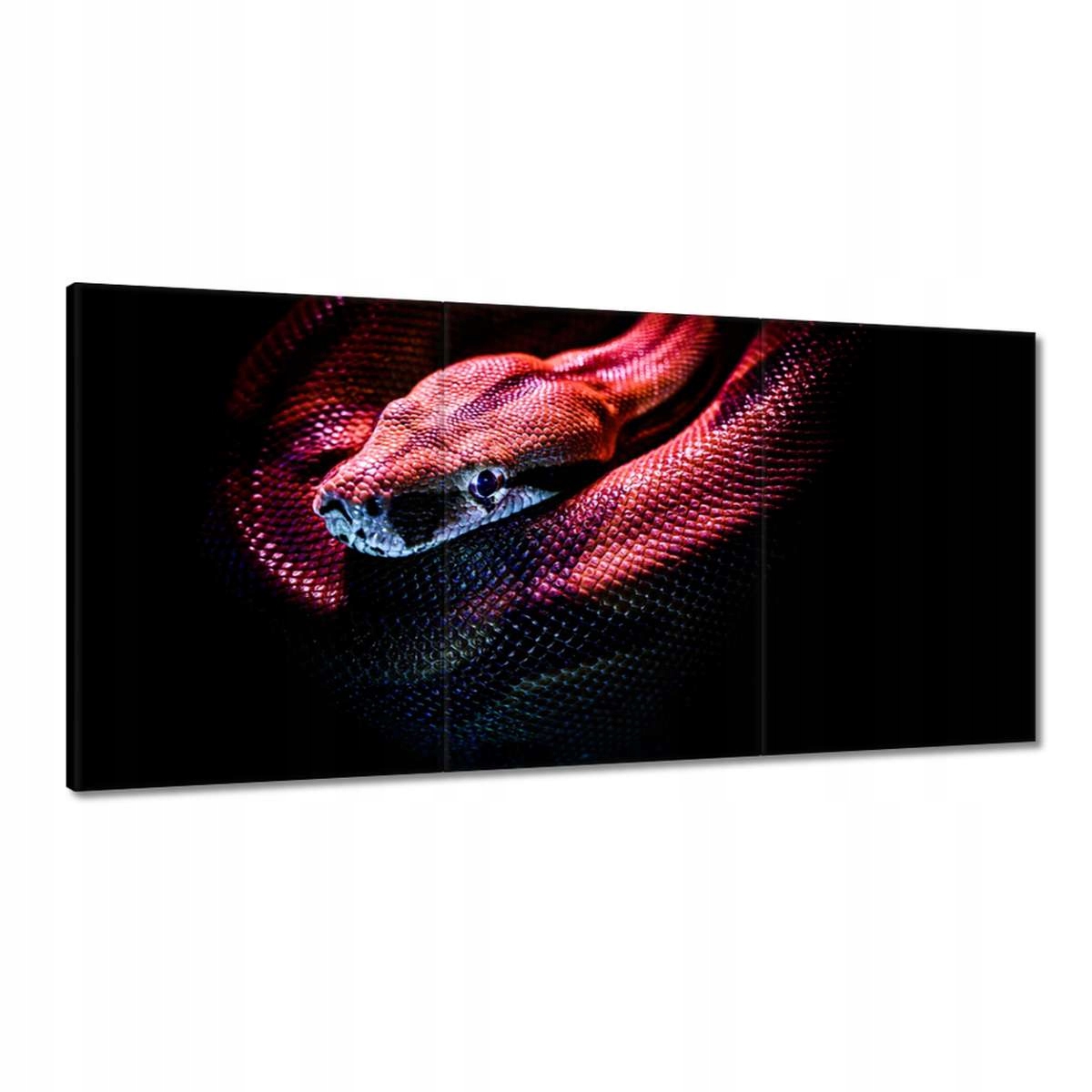 Obrazy 180x90 Zvieratá Zvieratká